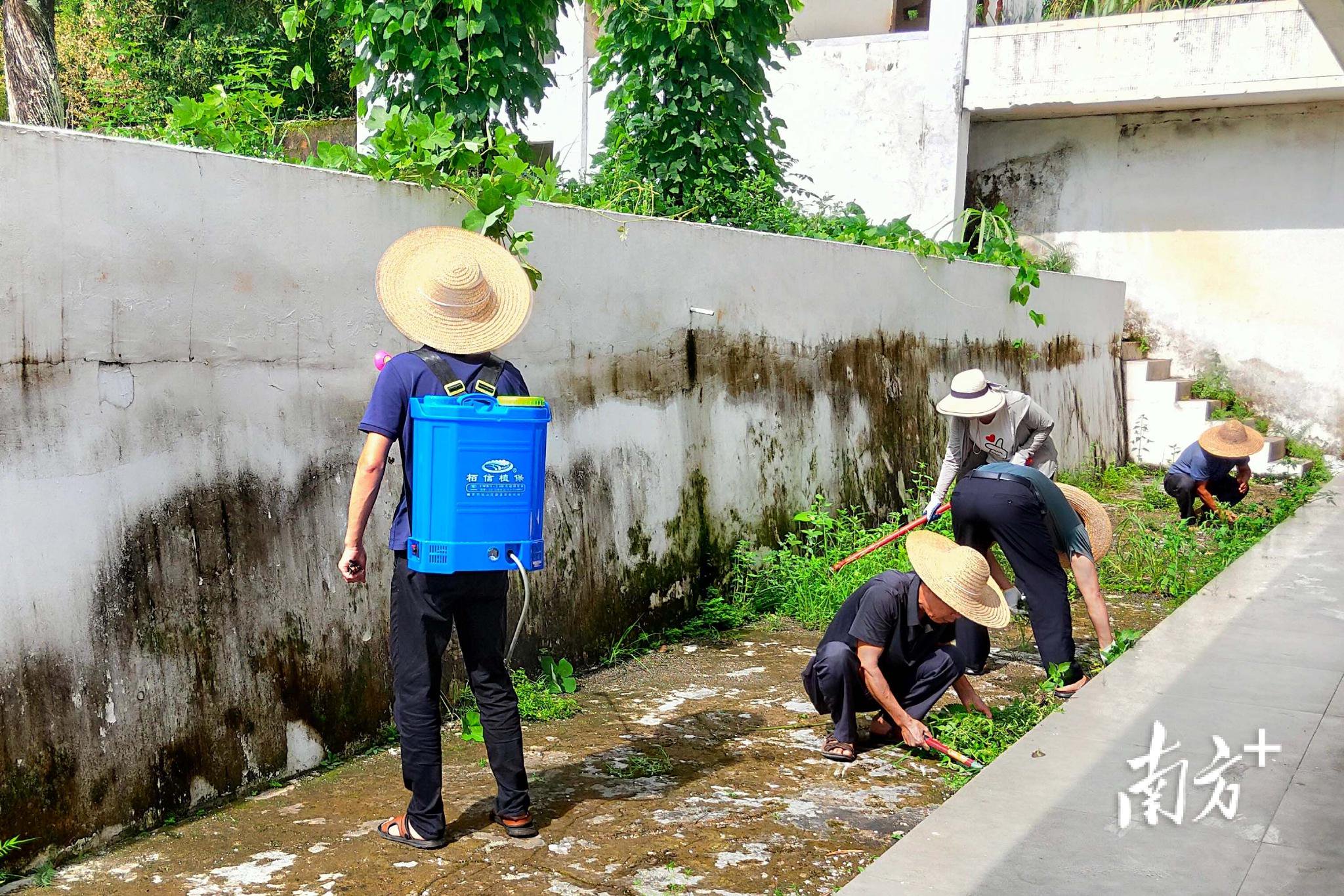 梅县区梅西镇开展爱国卫生行动，织密蚊媒传染病防控网