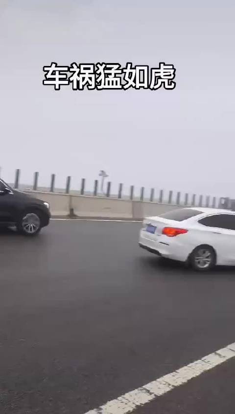 有雾还开这么快……保险公司看到后直接天塌了