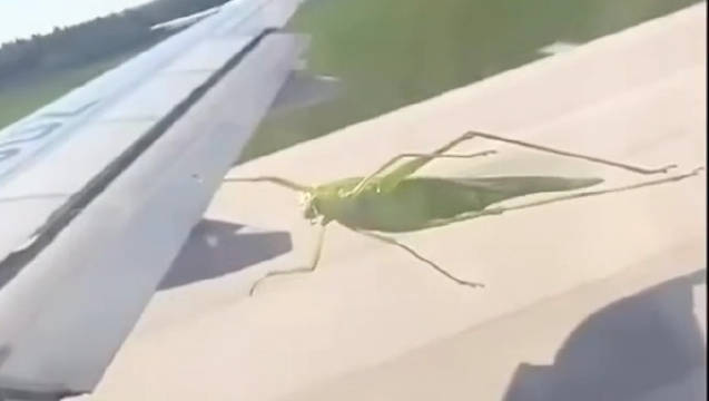 螳姆·克鲁斯正在拍碟中谍