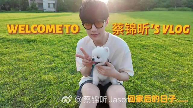 没想到昨天还在找工作的蔡蔡马上就有了着落，不得不佩服蔡蔡的事业运