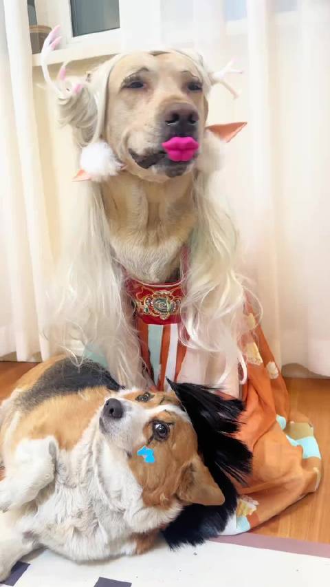 这是哪个野王的瑶妹儿啊？这马可不行啊，都让人打成狗了