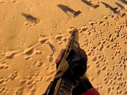 沙漠里的野猪连队被丧彪手持真理挨个点名