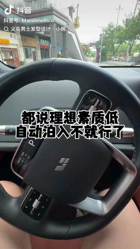 自动泊车故障致车辆停歪引质疑