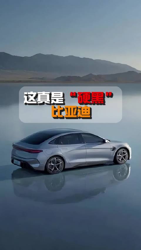 比亚迪宣布智能泊车辅助兜底后遭质疑