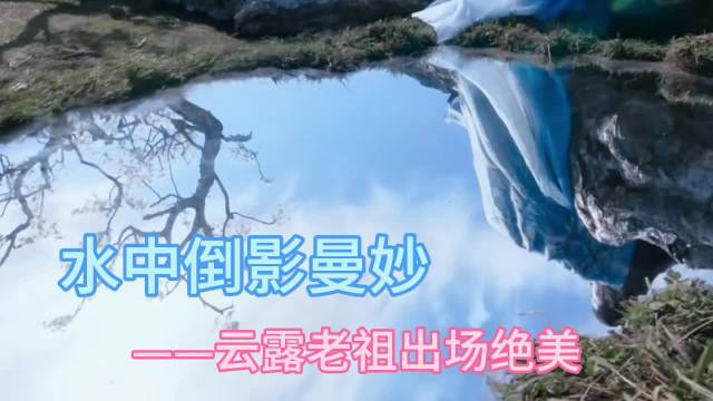 云露老祖惊艳亮相凡人修仙传，水中倒影尽显仙姿