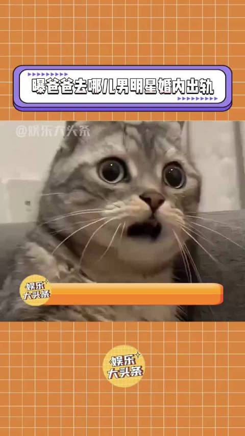 曝爸爸去哪儿男明星婚内出轨