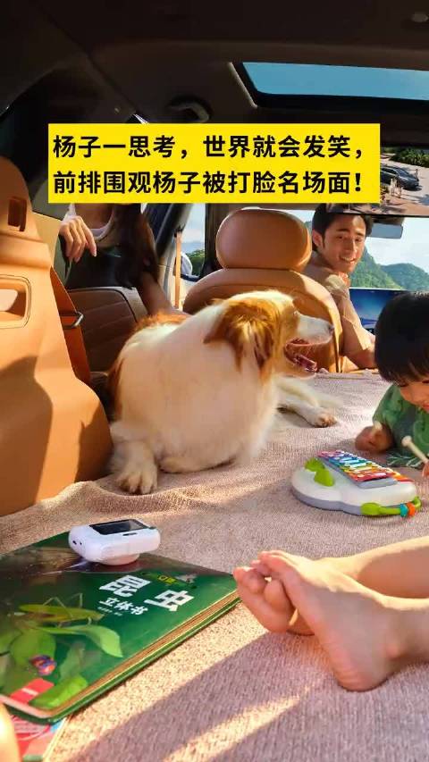 杨子闫闯豪车论战线下交锋，东风风神L8以舒适平权接住流量