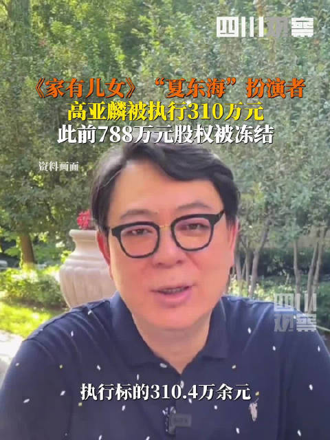 高亚麟及持股公司被执行310万