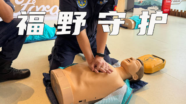 体验做蒙迪欧车主，今日任务达成“福野守护计划”