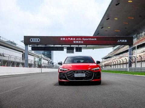 如何诠释“智美绝尘”？