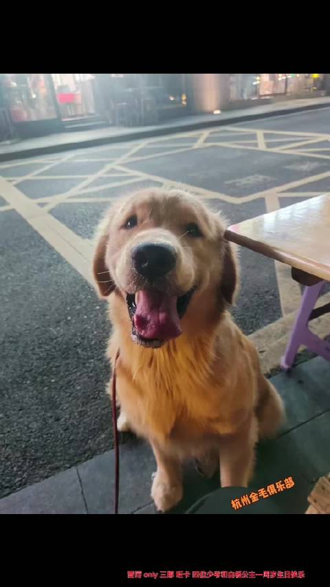 雷厉、only、三郎、旺卡四位少爷和白板公主一周岁生日快乐！