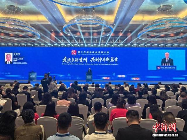 图为大会现场。中新网记者张伟摄