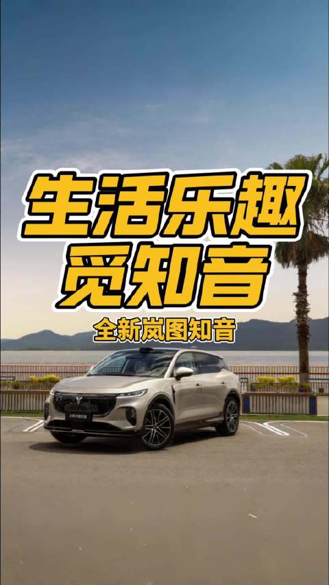 生活乐趣觅知音 全新岚图知音