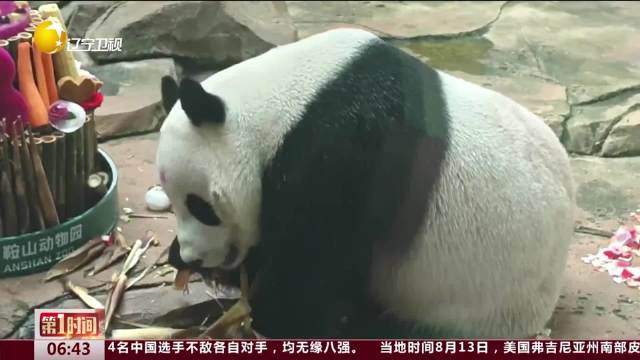 熊猫过生日 “功夫熊猫”生日快乐