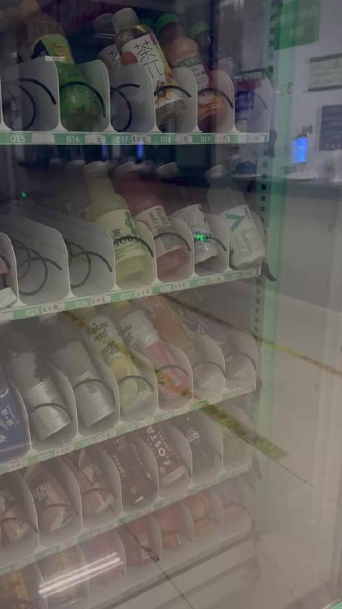 向海风许愿 在山海相见