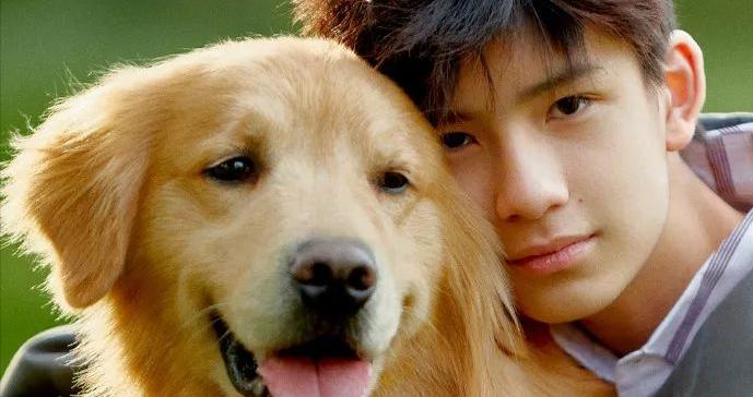 “这是中了基因彩票！”董洁潘粤明16岁儿子近照曝光