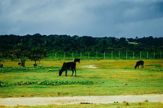 《花儿与少年·同心季》剧照。出品方供图