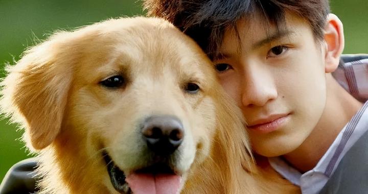 “这是中了基因彩票！”董洁潘粤明16岁儿子近照曝光，冲上热搜