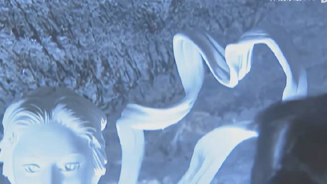 天龙八部片尾曲音乐：宽恕/王菲