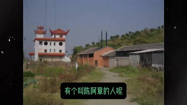 《扫毒风暴》揭露全球最大冰毒案，秦昊王志文张颂文出演