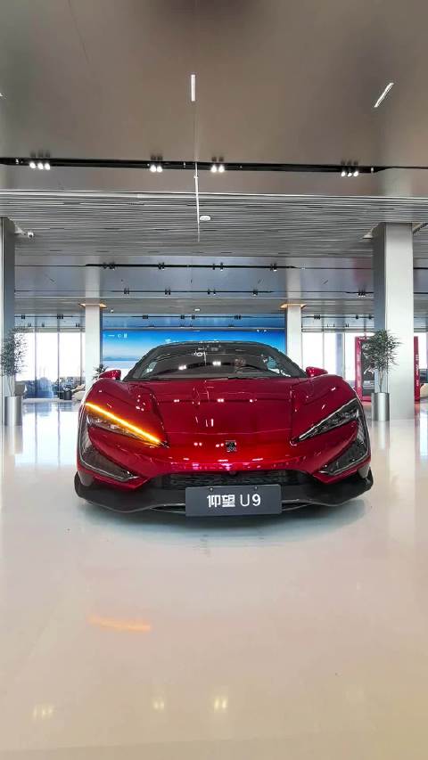 比亚迪仰望U9随乐起舞，智能泊车安全获兜底承诺