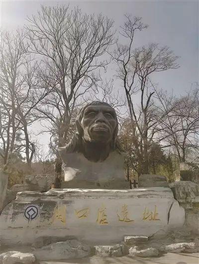 中国人、日本人、美国人都在找“北京人”，这件国宝在战火中已失踪80多年