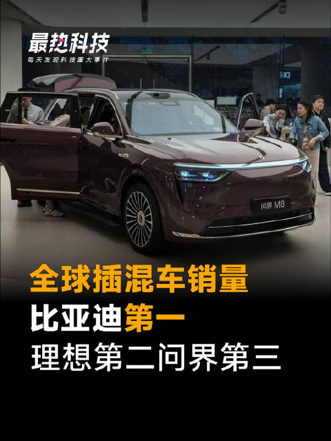 全球插混车销量，比亚迪第一，理想第二问界第三