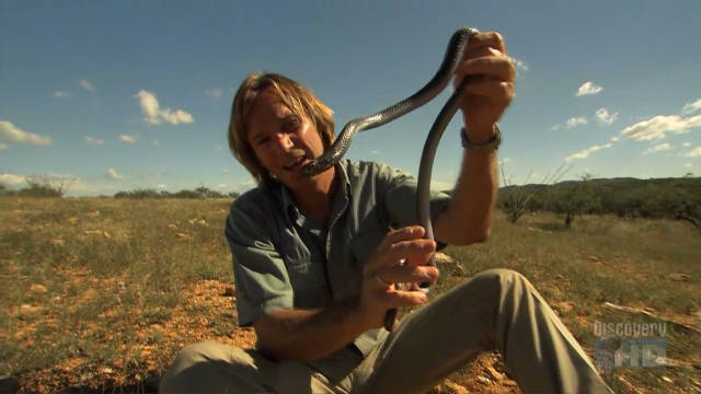 寻蛇之旅 A Snake-seeking Journey 纪录片品鉴团
