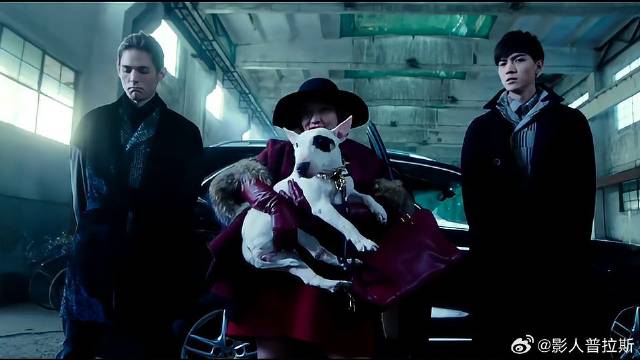 谢依霖花式穿搭，还抱了一条狗到马场，太好笑了！