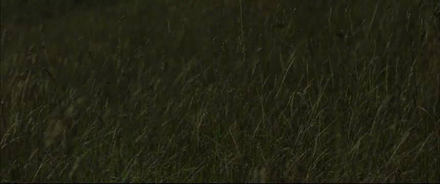 海蒂和爷爷，好治愈，心情突然好了起来