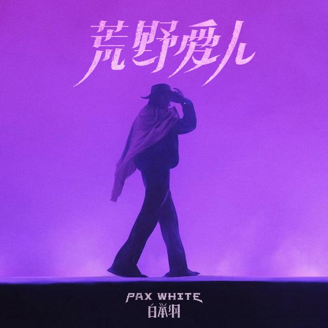 歌手白举纲的最新专辑《荒野爱人》。受访者供图