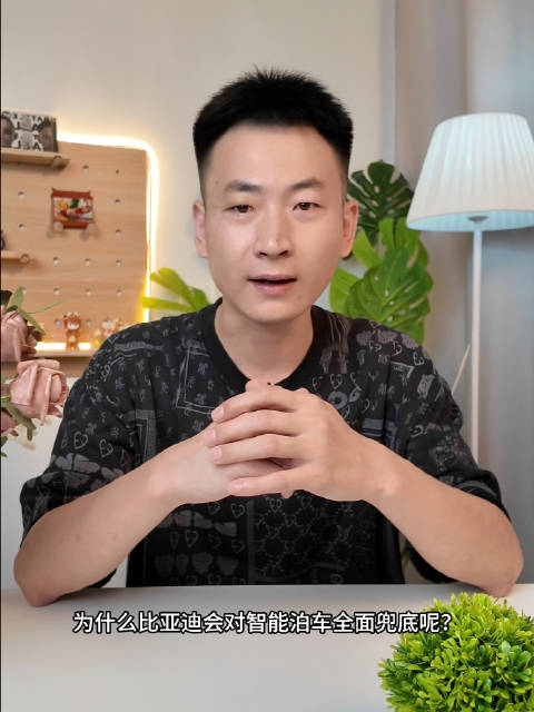 比亚迪全系车型覆盖智驾功能，智能泊车全面兜底