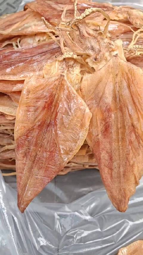 柴鸡蛋精选大鱿鱼干上市，厚肉特干适合多种烹饪
