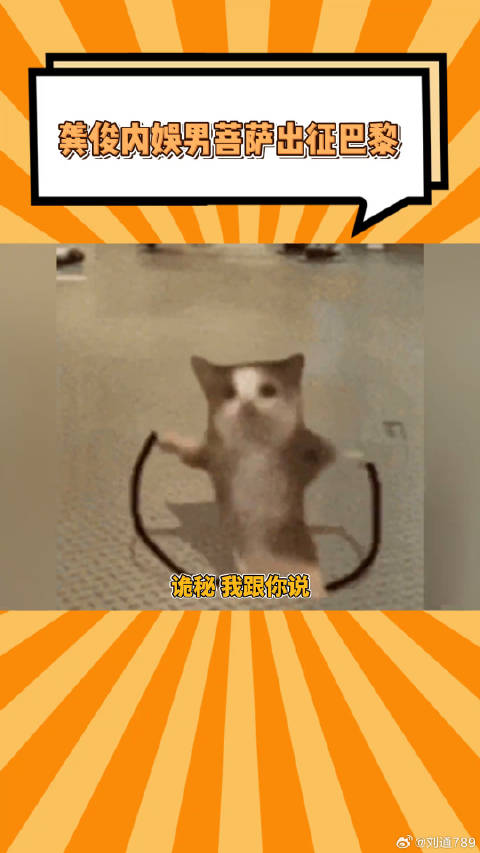 刷到这些的我，一天都会给所有人好脸色！微博VC计划