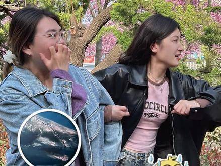 注意安全切勿接近巨型生物 危险动物 巨齿鲨