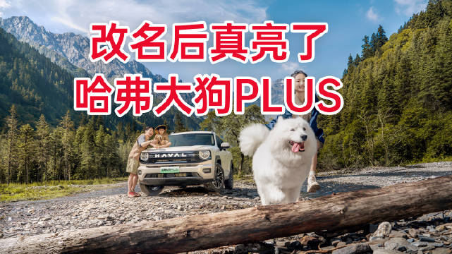 哈弗二代大狗更名大狗PLUS，发光LOGO升级家庭泛越野SUV