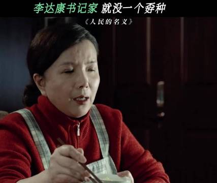 还得是达康书记有问题就立马解决，绝不拖拉 人民的名义