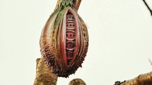 两个女特警勇闯毒枭巢穴