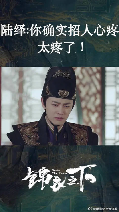 锦喜：陆大人好心疼