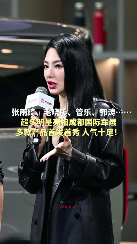 众多明星亮相成都国际车展
