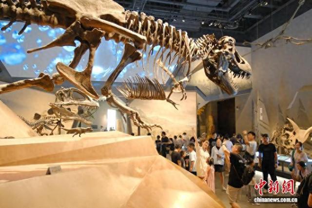 8月21日,游客在浙江自然博物院安吉馆内参观。曹丹 摄