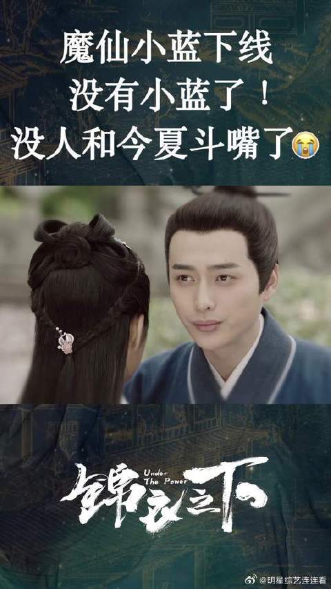 锦喜：今夏为小蓝自责