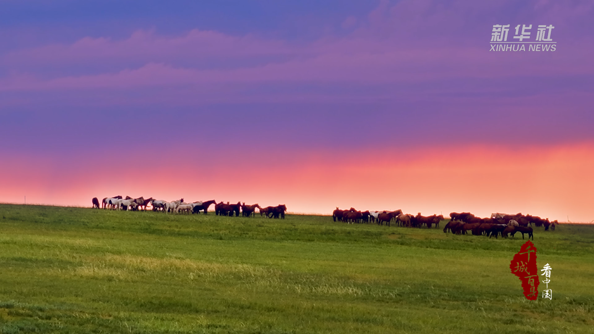 千城百县看中国｜内蒙古：牧马人写下草原黄昏的诗