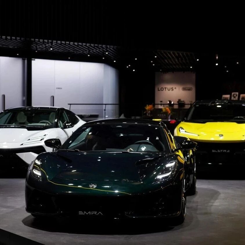 莲花全球整合战略进行时：上半年毛利率回升、亏损收窄四成