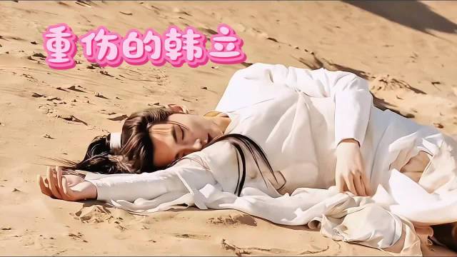 韩立燕家堡血战护董宣，重伤寻墨彩环显情义