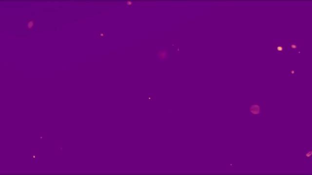 拥抱车展——2025威海传媒秋季车展随手拍活动来了！