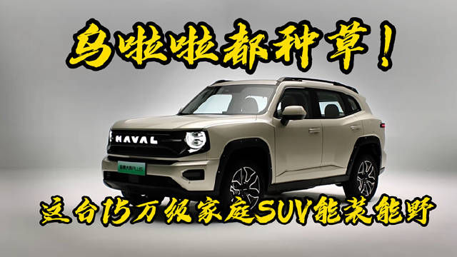 哈弗大狗PLUS车展亮相，空间舒适越野兼备价格亲民