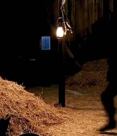 男子欲图不轨 npc扣下了q 西部世界