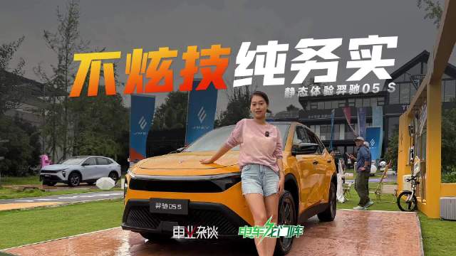 车届家用车清流，配置不多但全部实用，车身不大但空间够用！