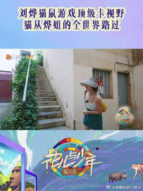 刘烨机智躲藏卡视野，侯明昊荣梓杉抓捕周雨彤遇阻